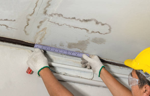 Reliable Structural Drying contractor in Divide, CO by Hirex Water Damage